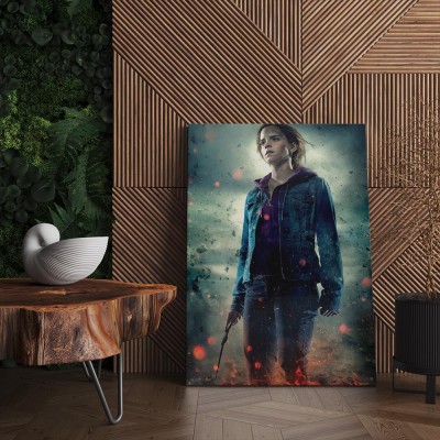 Quadro Decorativo Cinema hermione HP 01