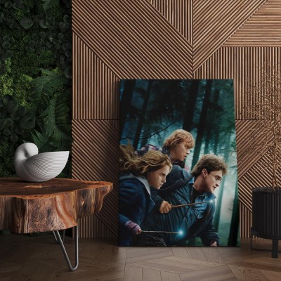 Quadro Decorativo Cinema Harry Potter 01