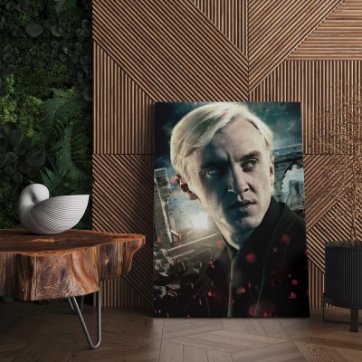 Quadro Decorativo Cinema Draco HP 01