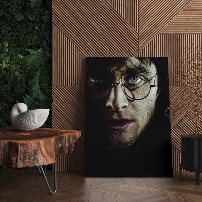 Quadro Decorativo Cinema Harry Potter 04