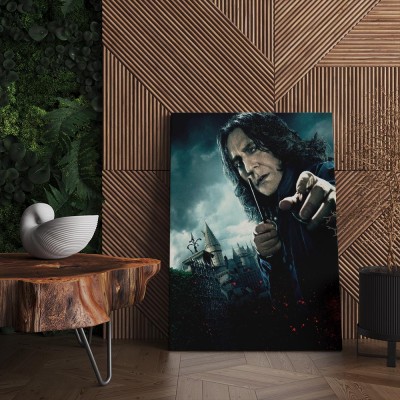 Quadro Decorativo Cinema Snape HP 01