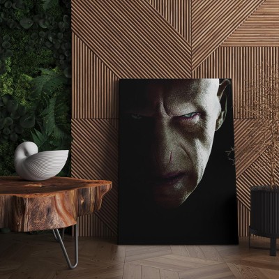 Quadro Decorativo Cinema Lord Voldemort HP 01