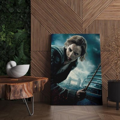 Quadro Decorativo Cinema Harry Potter 19 Hermione