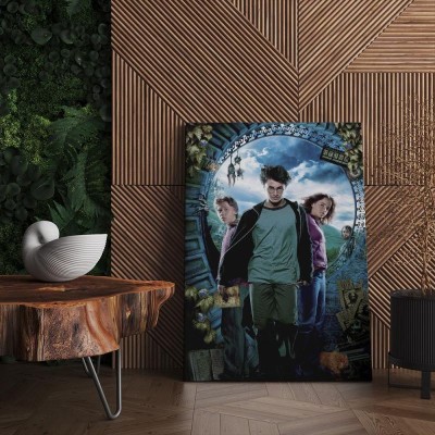 Quadro Decorativo Cinema Harry Potter 41