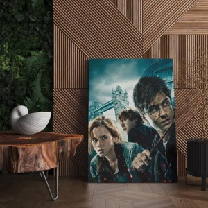 Quadro Decorativo Cinema Harry Potter 43