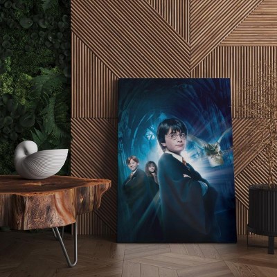 Quadro Decorativo Cinema Harry Potter 44