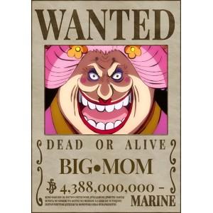 Placa Decorativa OnePiece Wanted Big Mom