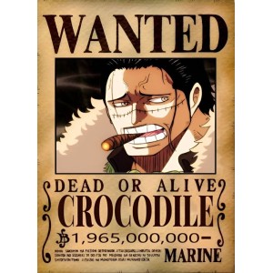 Placa Decorativa OnePiece Wanted Crocodille