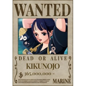 Placa Decorativa OnePiece Wanted Kikunojo