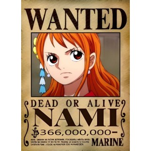 Placa Decorativa WANTED Nami One Piece Mod.19