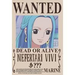 Placa Decorativa OnePiece Wanted Nefertari
