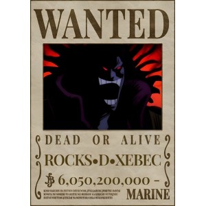 Placa Decorativa OnePiece Wanted Rocks