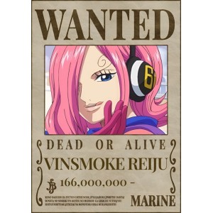 Placa Decorativa OnePiece Wanted Vinsmoke Reiju