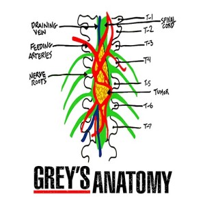 Placa Decorativa Greys Anatomy - Mod.03