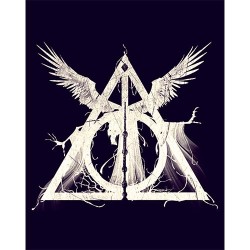 Placa Decorativa Harry Potter - Mod.19