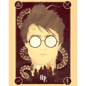 Placa Decorativa Harry Potter - Mod.28