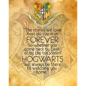 Placa Decorativa Harry Potter - Mod.30