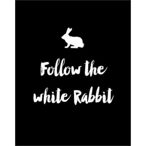Placa Decorativa     Follow the white rabbit