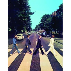 Placa Decorativa     The Beatles