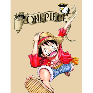 Placa Decorativa    One Piece