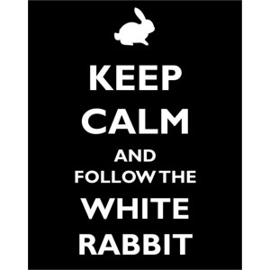 Placa Decorativa    Mantenha a calma e siga o coelho branco